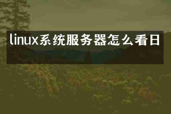 linux系统服务器怎么看日志
