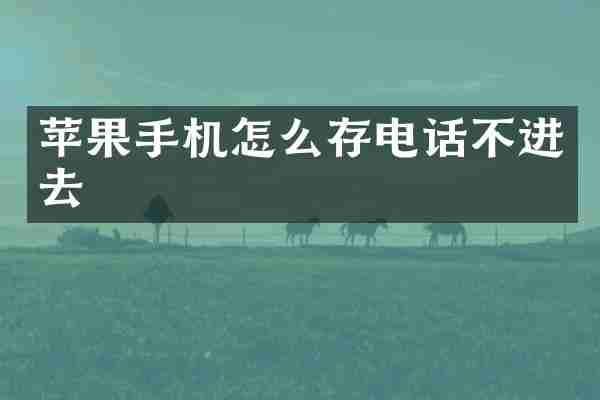 苹果手机怎么存电话不进去