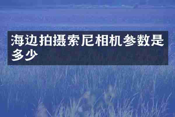 海边拍摄索尼相机参数是多少