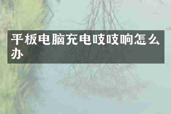 平板电脑充电吱吱响怎么办