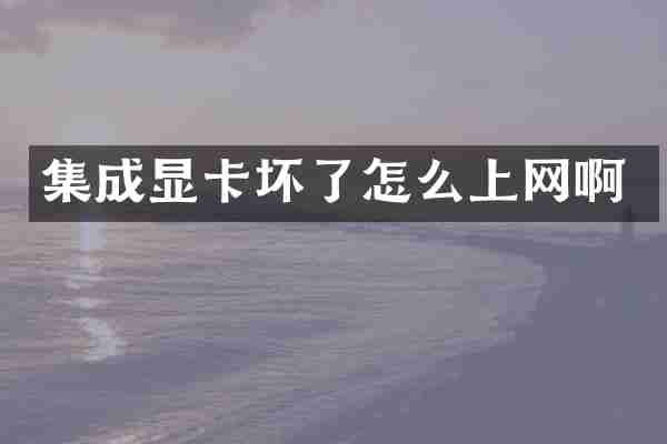 集成显卡坏了怎么上网啊