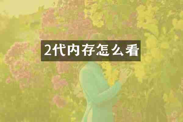 2代内存怎么看