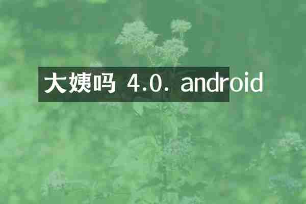 大姨吗 4.0. android