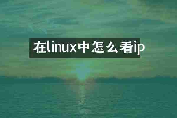 在linux中怎么看ip