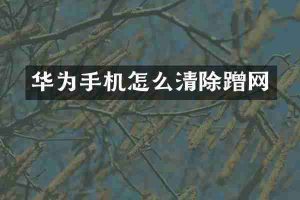 华为手机怎么清除蹭网