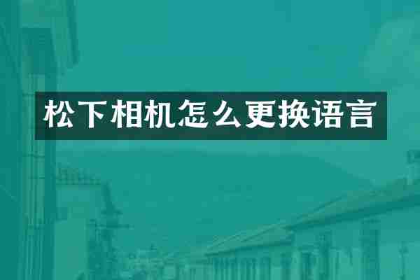 松下相机怎么更换语言