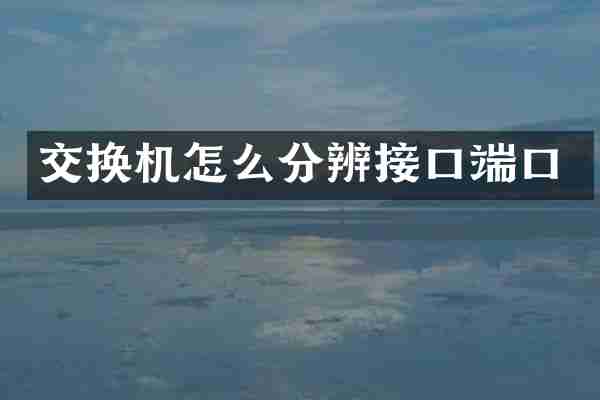 交换机怎么分辨接口端口