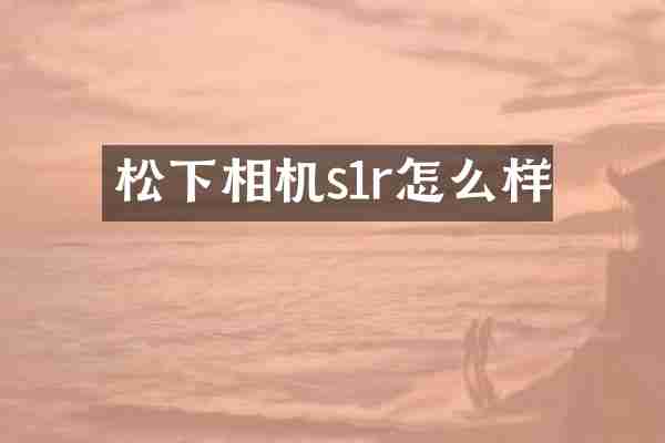 松下相机s1r怎么样