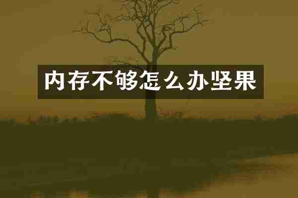 内存不够怎么办坚果