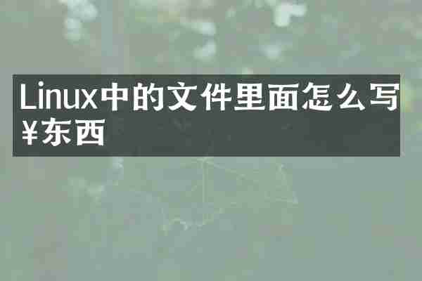 Linux中的文件里面怎么写入东西