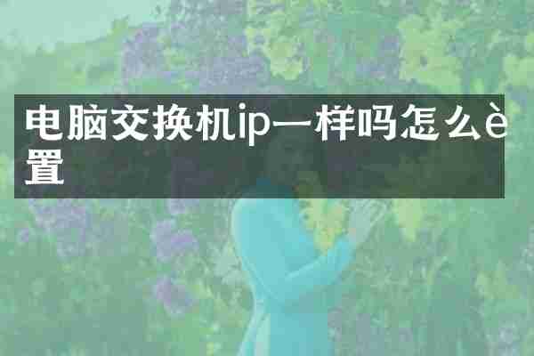 电脑交换机ip一样吗怎么设置