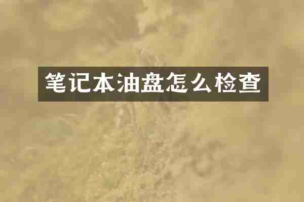 笔记本油盘怎么检查
