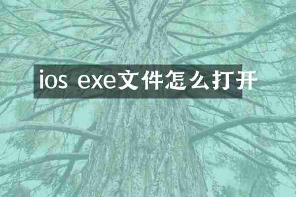 ios exe文件怎么打开