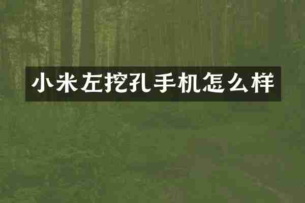 小米左挖孔手机怎么样