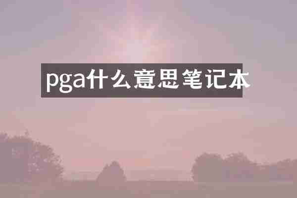 pga什么意思笔记本