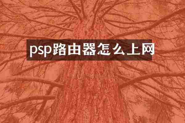 psp路由器怎么上网