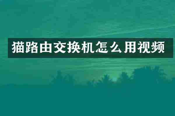 猫路由交换机怎么用视频
