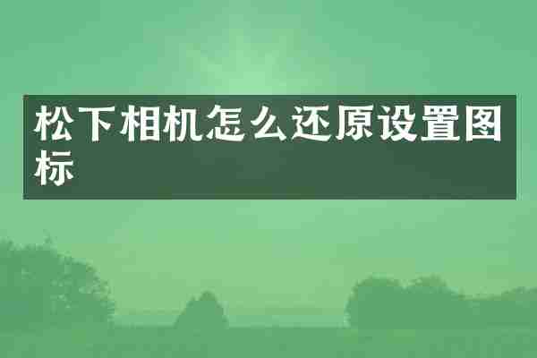松下相机怎么还原设置图标