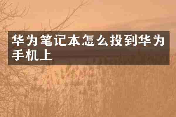 华为笔记本怎么投到华为手机上