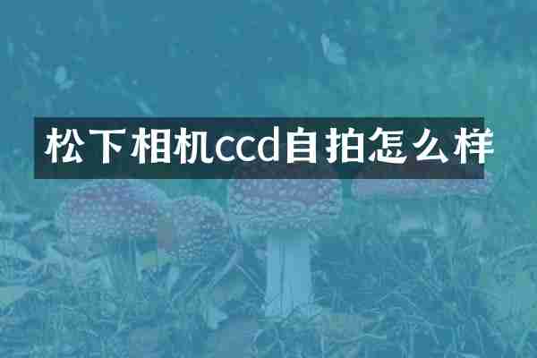 松下相机ccd自拍怎么样