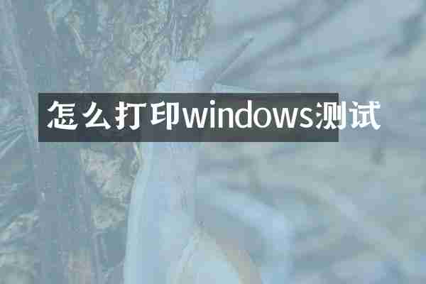 怎么打印windows测试