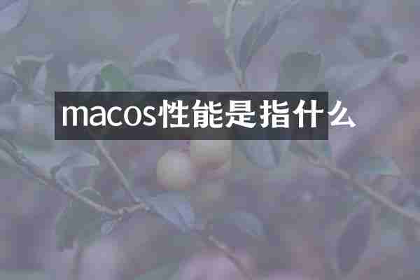 macos性能是指什么