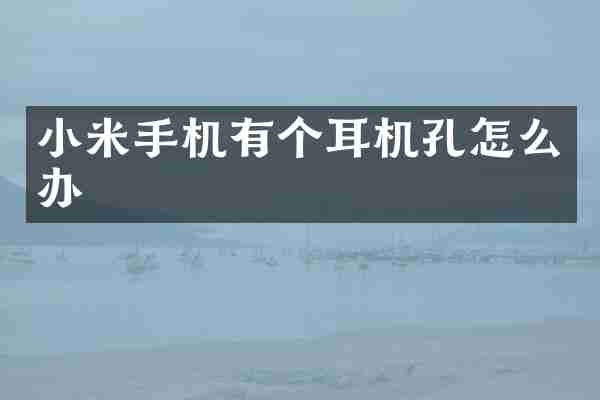 小米手机有个耳机孔怎么办