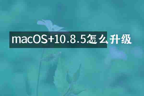 macOS+10.8.5怎么升级