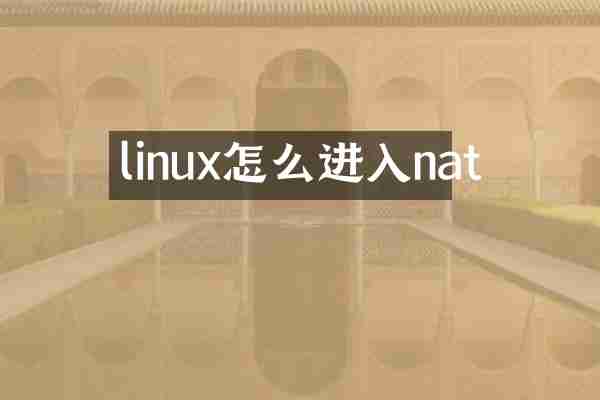 linux怎么进入nat