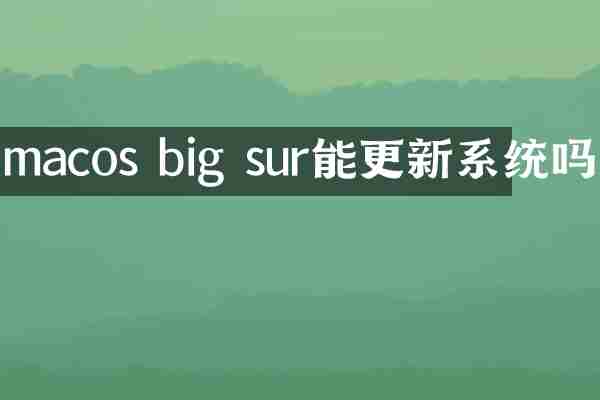 macos big sur能更新系统吗