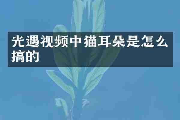 光遇视频中猫耳朵是怎么搞的