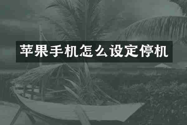 苹果手机怎么设定停机