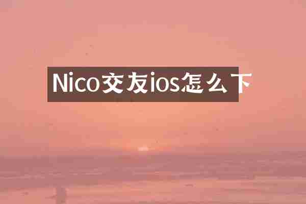 Nico交友ios怎么下