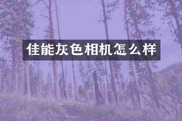 佳能灰色相机怎么样