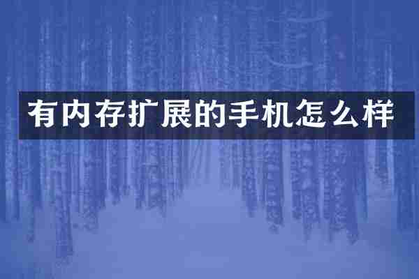有内存扩展的手机怎么样