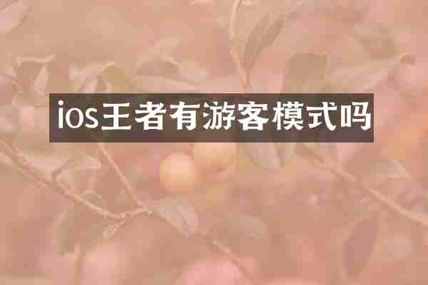 ios王者有游客模式吗