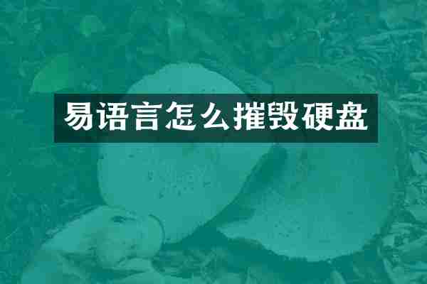 易语言怎么摧毁硬盘