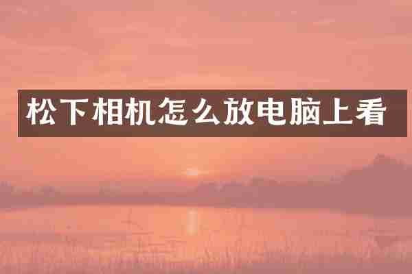 松下相机怎么放电脑上看