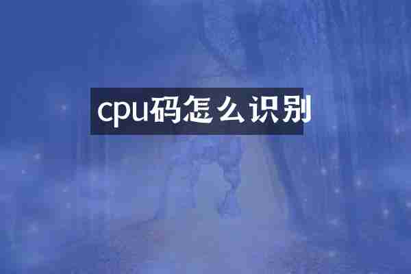cpu码怎么识别