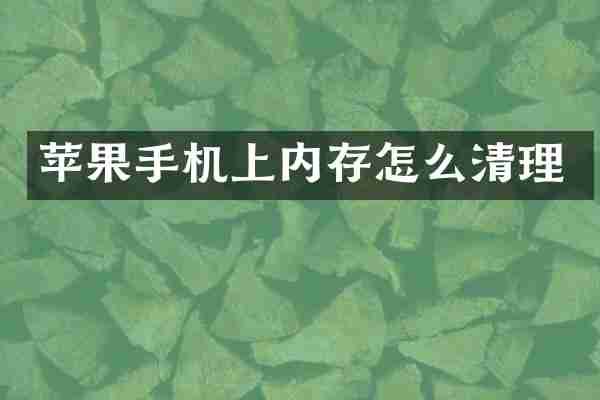 苹果手机上内存怎么清理