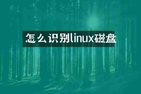 怎么识别linux磁盘