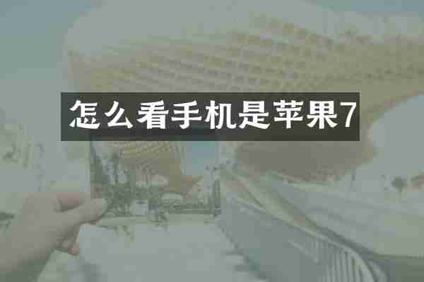 怎么看手机是苹果7