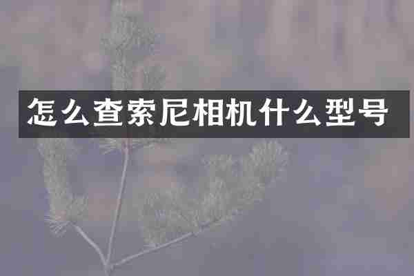 怎么查索尼相机什么型号