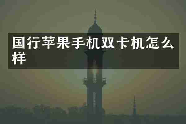 国行苹果手机双卡机怎么样