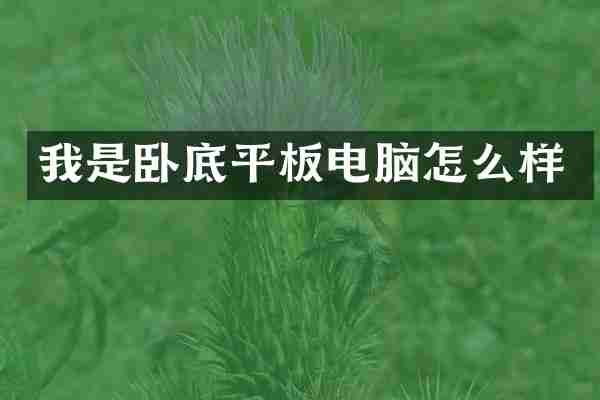 我是卧底平板电脑怎么样