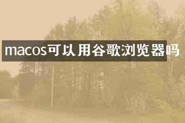 macos可以用谷歌浏览器吗