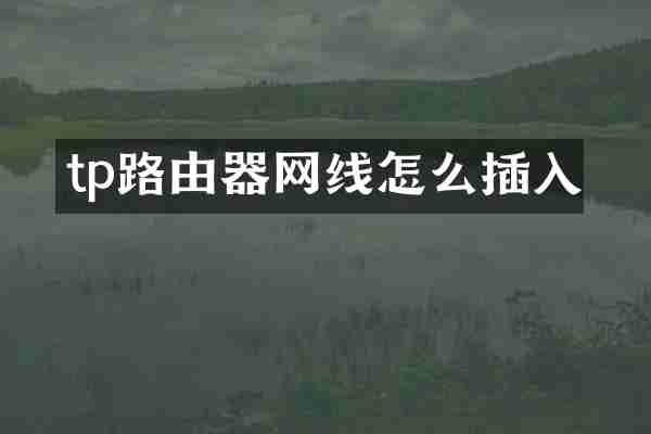 tp路由器网线怎么插入