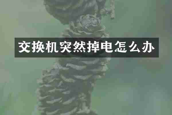交换机突然掉电怎么办