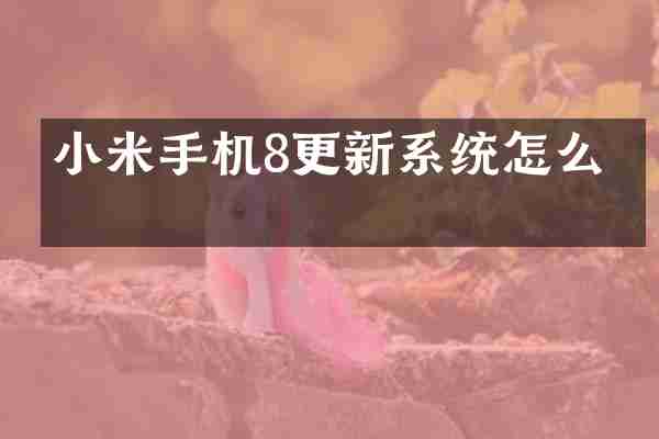 小米手机8更新系统怎么办
