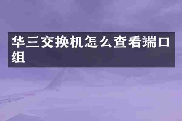 华三交换机怎么查看端口组